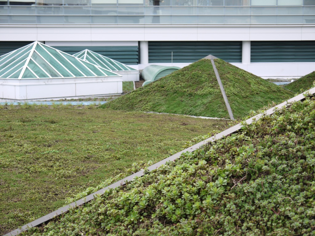 Green roof pyramids echo the shape of the skylights. 