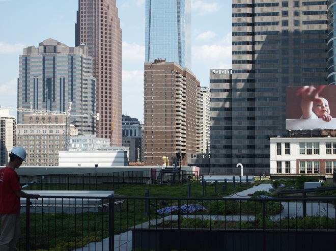 Many Center City buildings have a view of the PECO green roof.