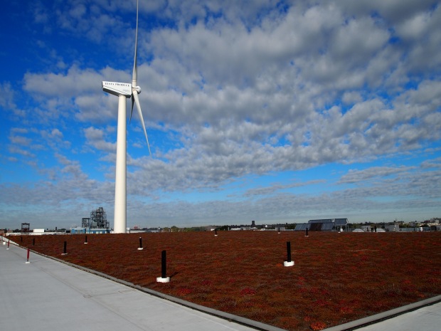 The flat portion of the green roof, which is responsible for supporting the weight of the media and plants of the barrel roof.